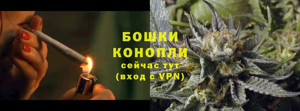 спиды Арсеньев