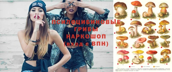 прущая мука Аркадак