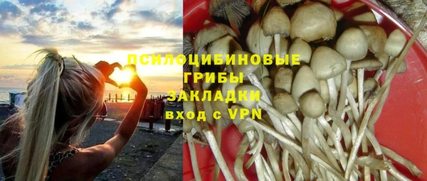 спиды Арсеньев