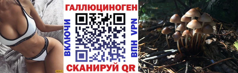 Псилоцибиновые грибы прущие грибы  Купить закладки  Пошехонье 