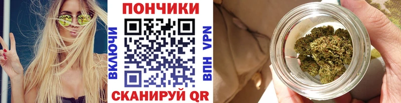 Бошки Шишки гибрид  Купить  Пошехонье 